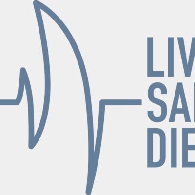 LSD logo stacked blue grey Thumbnail